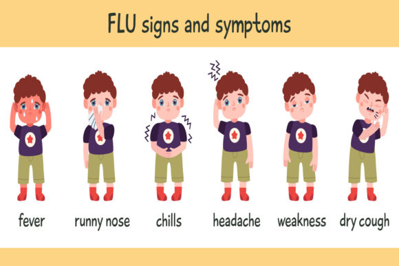 Flu Symptoms Infographic: Visual Health Guide